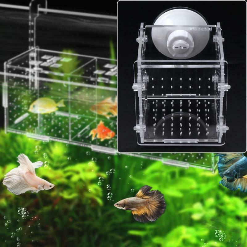 Aquarium Fish Breeding Isolation Box Fish Tank Incubator Breeder For Baby Fish