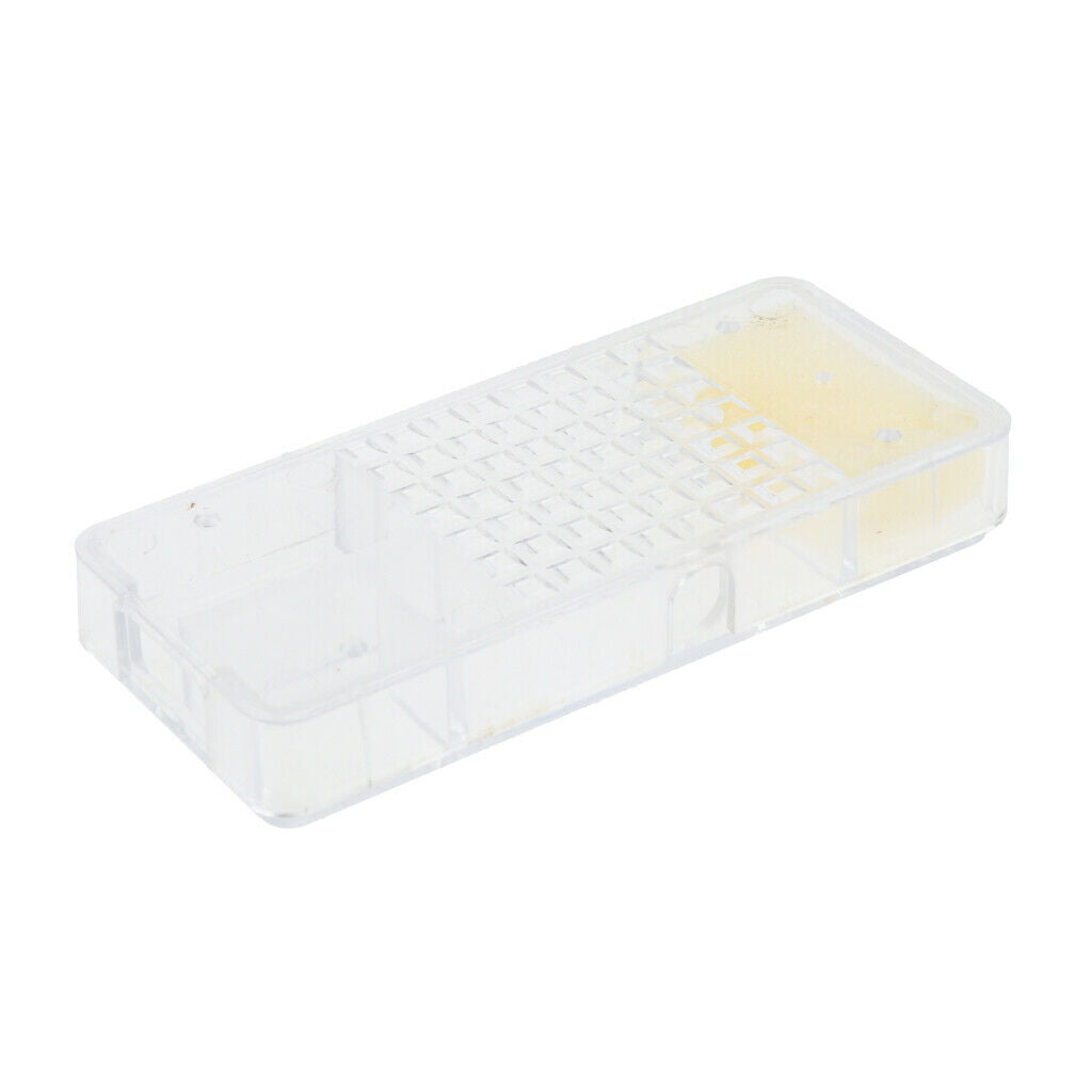 Queen Bee Cage Box / Bee Catcher / Cage for Transporting Bee Beekeeping Tool