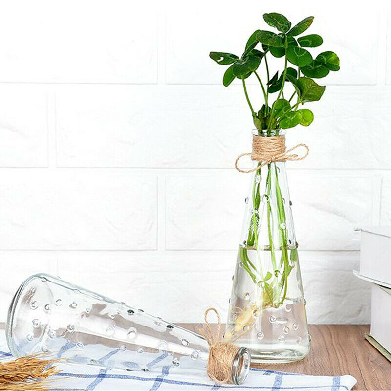 Raindrop Conical Glass Vase Decorate Home Nordic Dried Flower Hydroponic Bottle