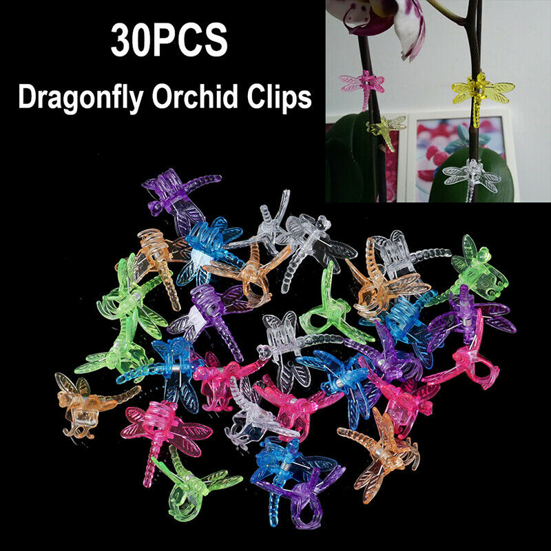 30Pcs Dragonfly Orchid Clips Orchid Grower Support Garden Plant Vine ClipsON KX