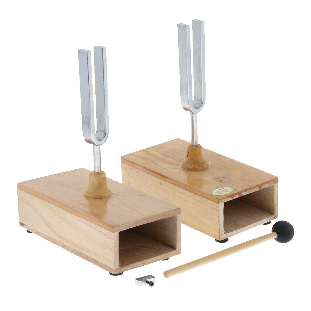 Resonant Tuning Fork 440HZ with Wooden Resonant Box Acoustic Science Tools