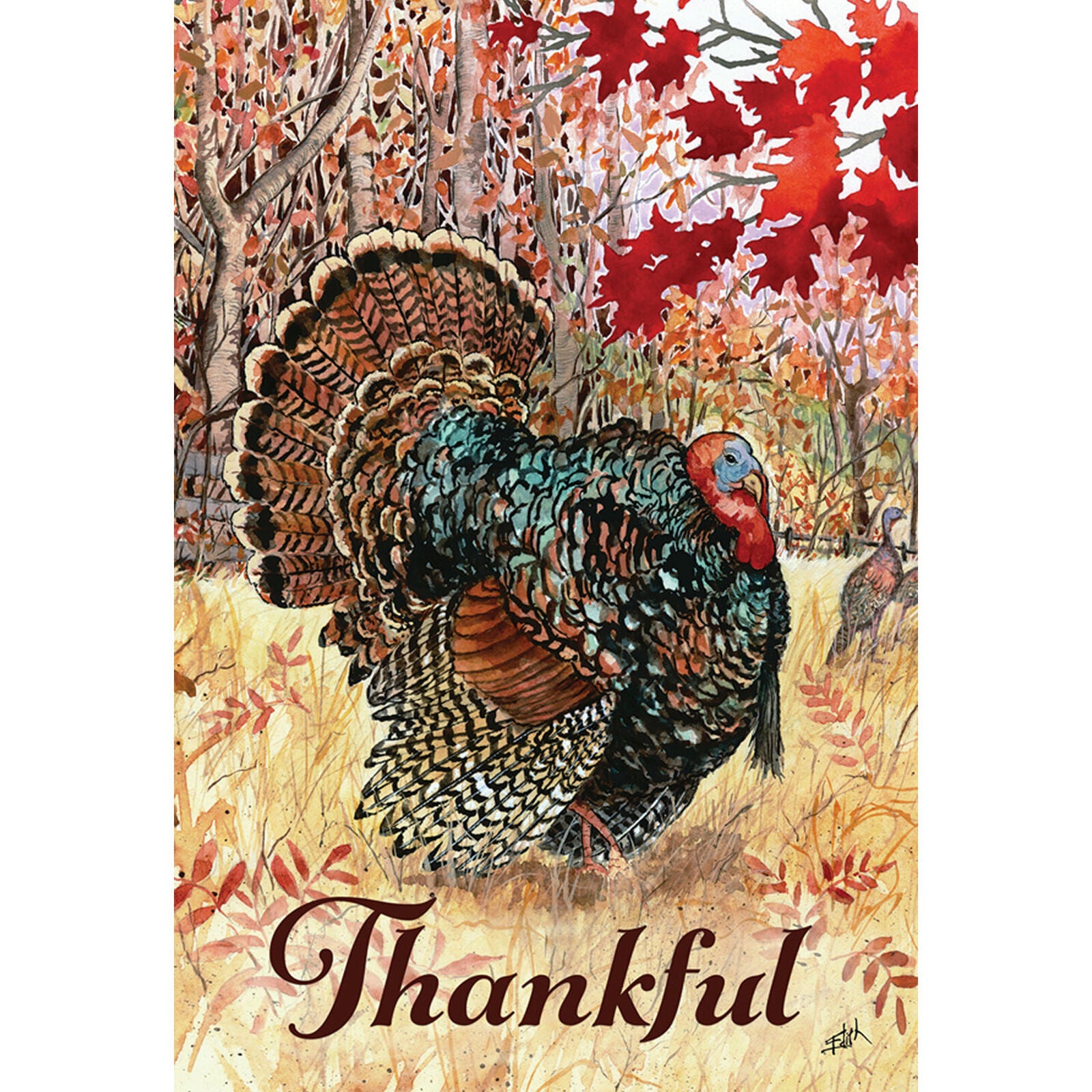 Toland Wild Turkey 28 x 40 Fall Autumn Bird Thankful Thanksgiving House Flag New