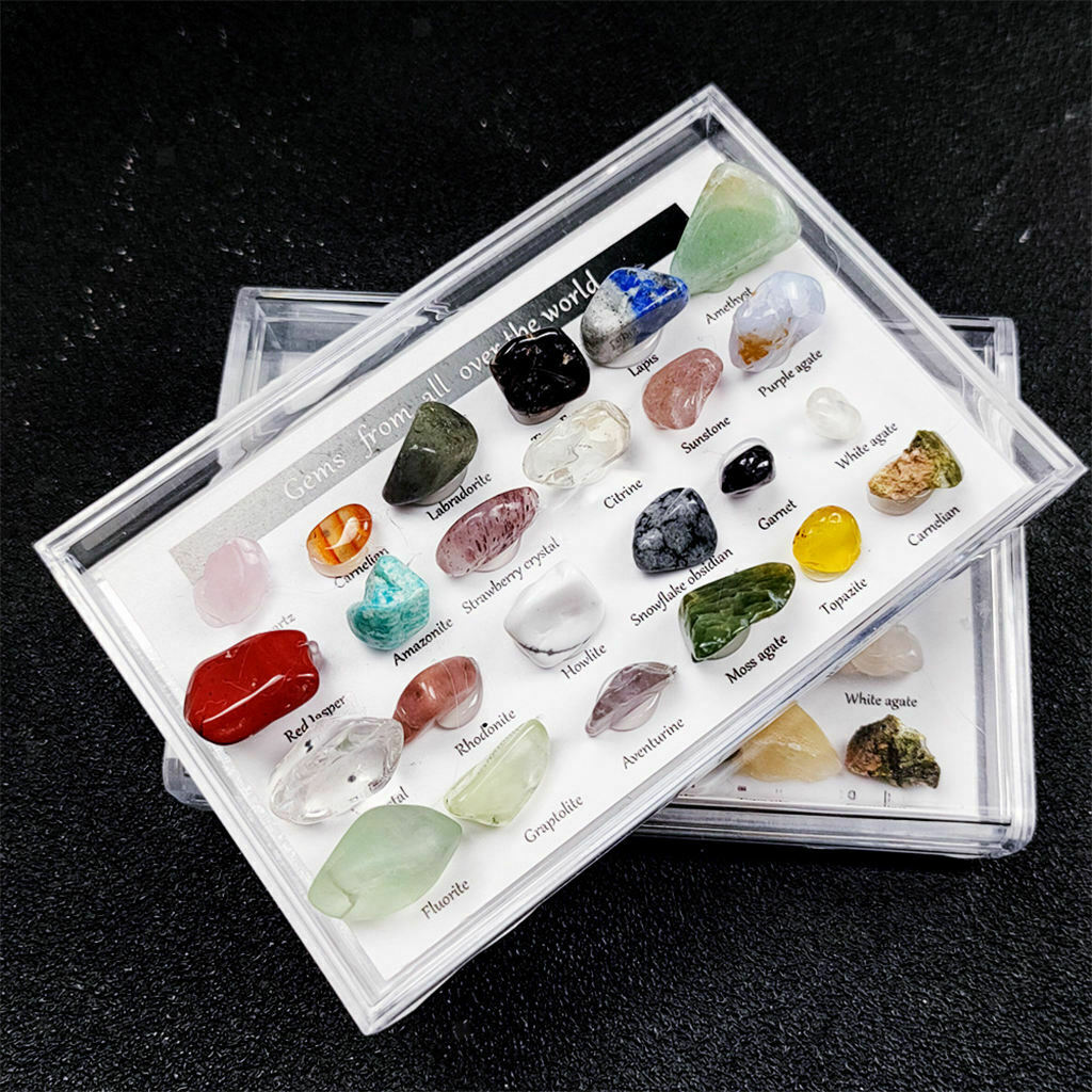 24 Pieces Rock and Mineral w/ Display Case Geography Education for Kids