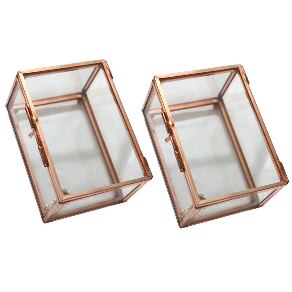 2Pcs Modern Desktop Rectangle Glass Geometric Terrarium Air Plants Container