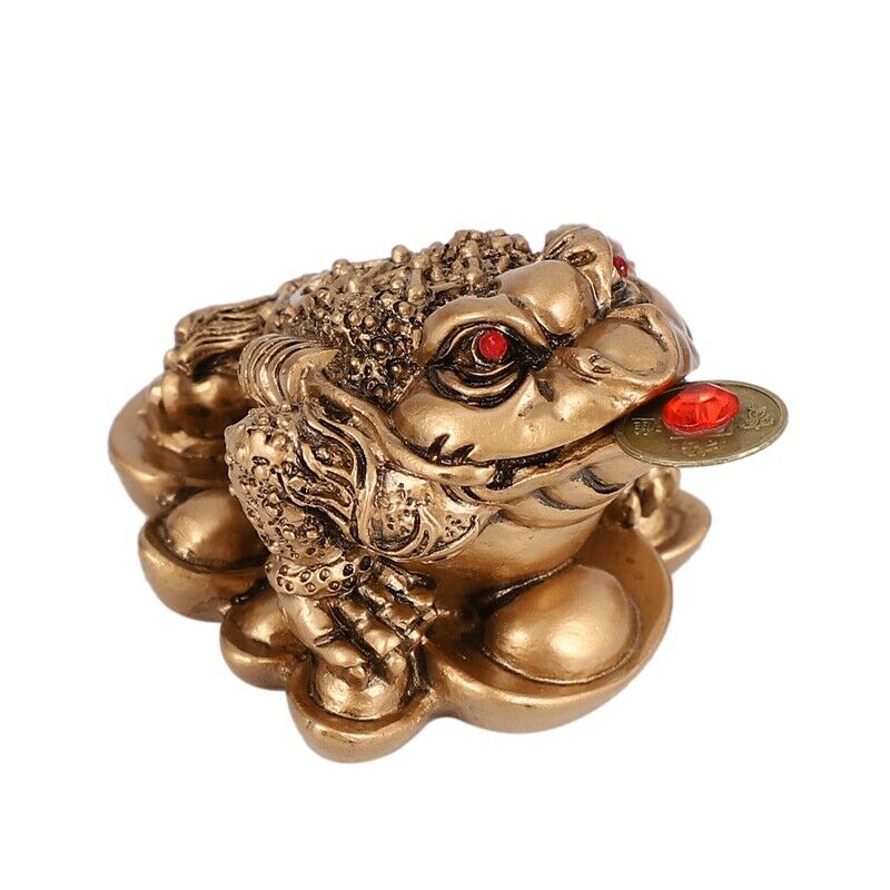 Chinese Feng Shui Money Lucky Fortune Wealth  Toad Coin Home Decoration Home OI3