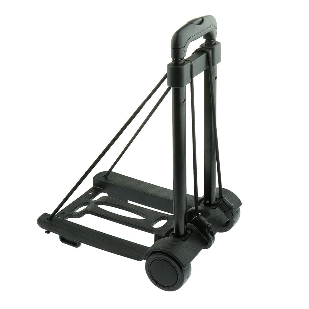 Pet Carrier Foldable Luggage Cart for Small Animals Pet Cat Dog
