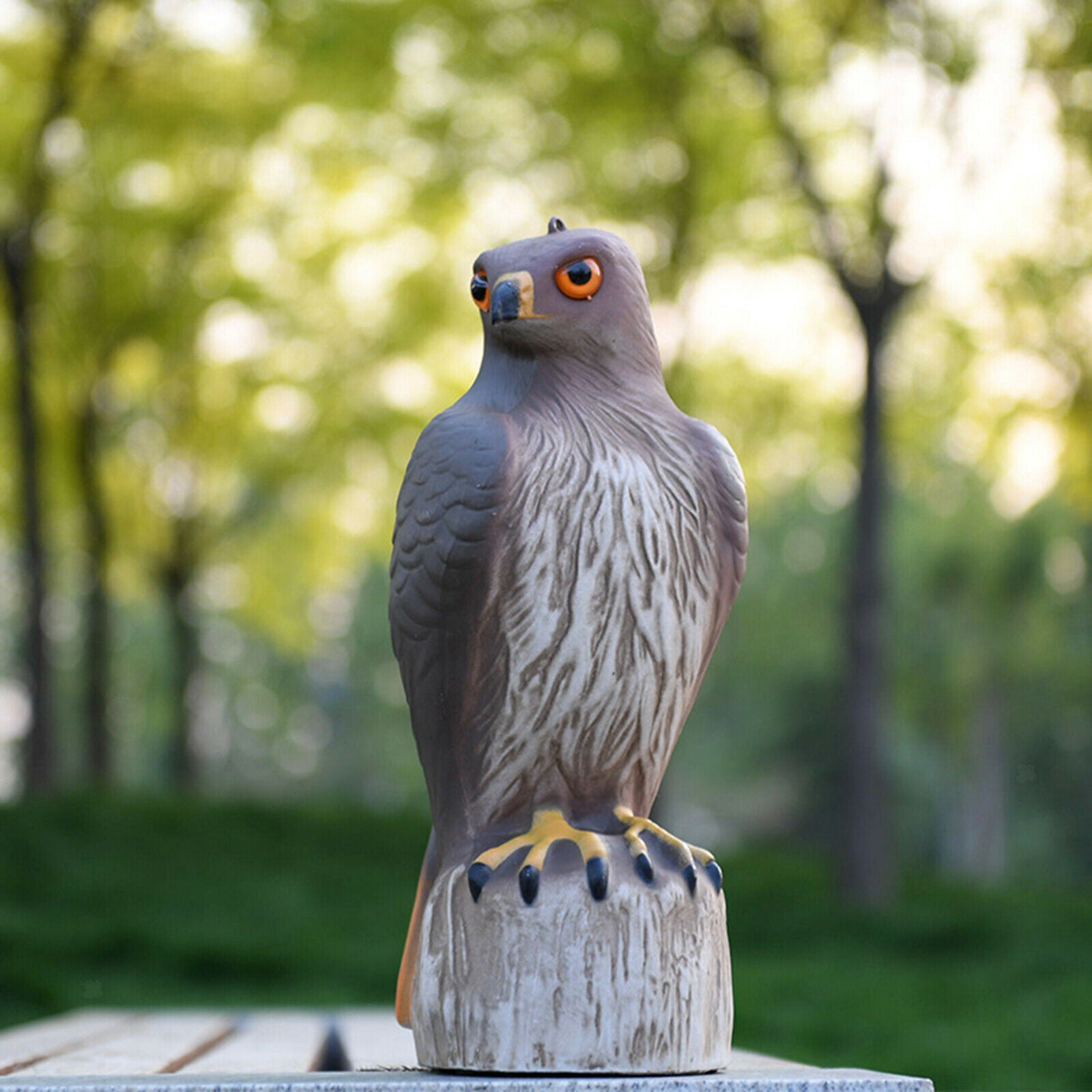 Hawk Bird Deterrent Decoy Statue Yard Garden Scarecrow Scarer Pest Help