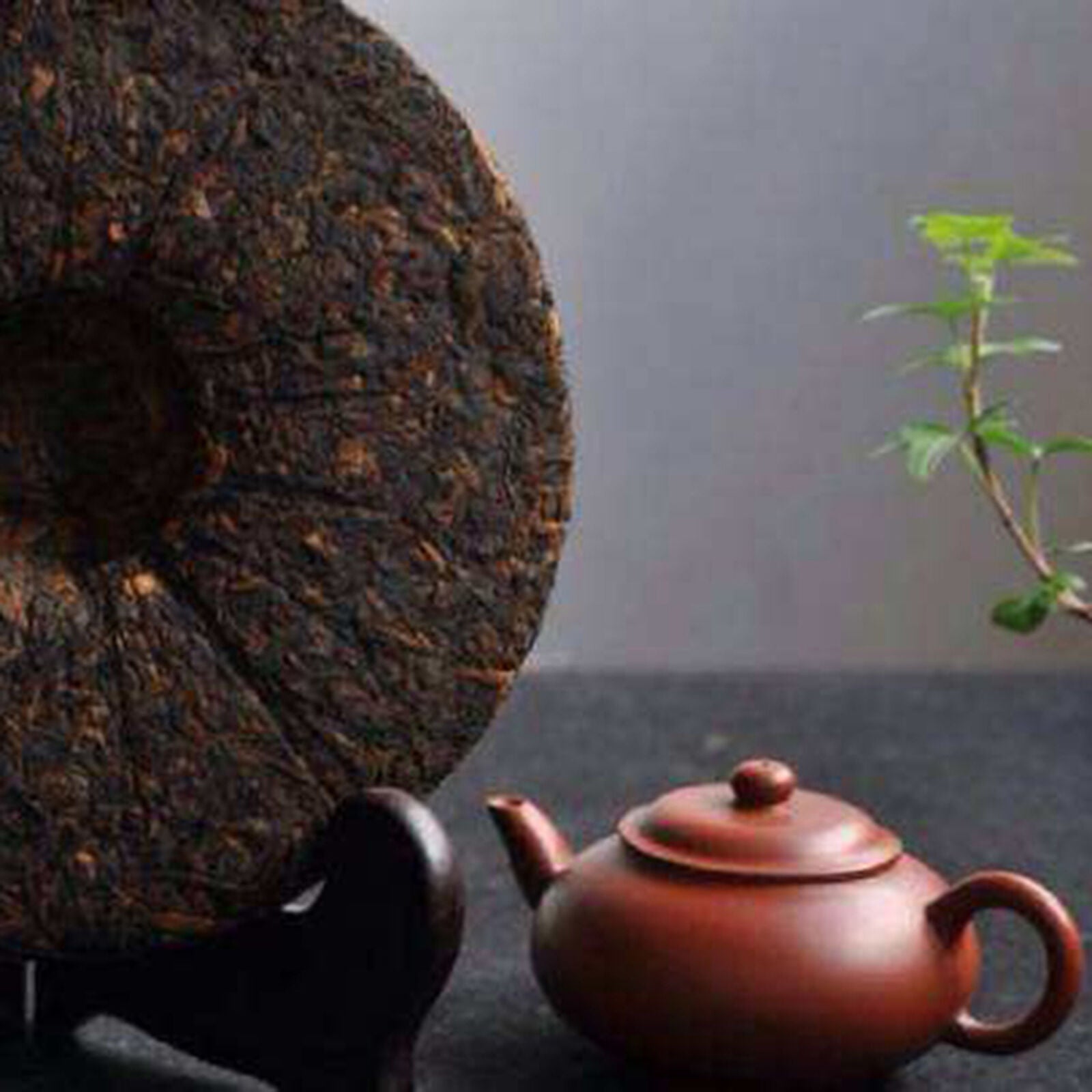Puer Tea Ripe Health-Tea 8 Years Long 357g Puer Brick Tea for Healthy