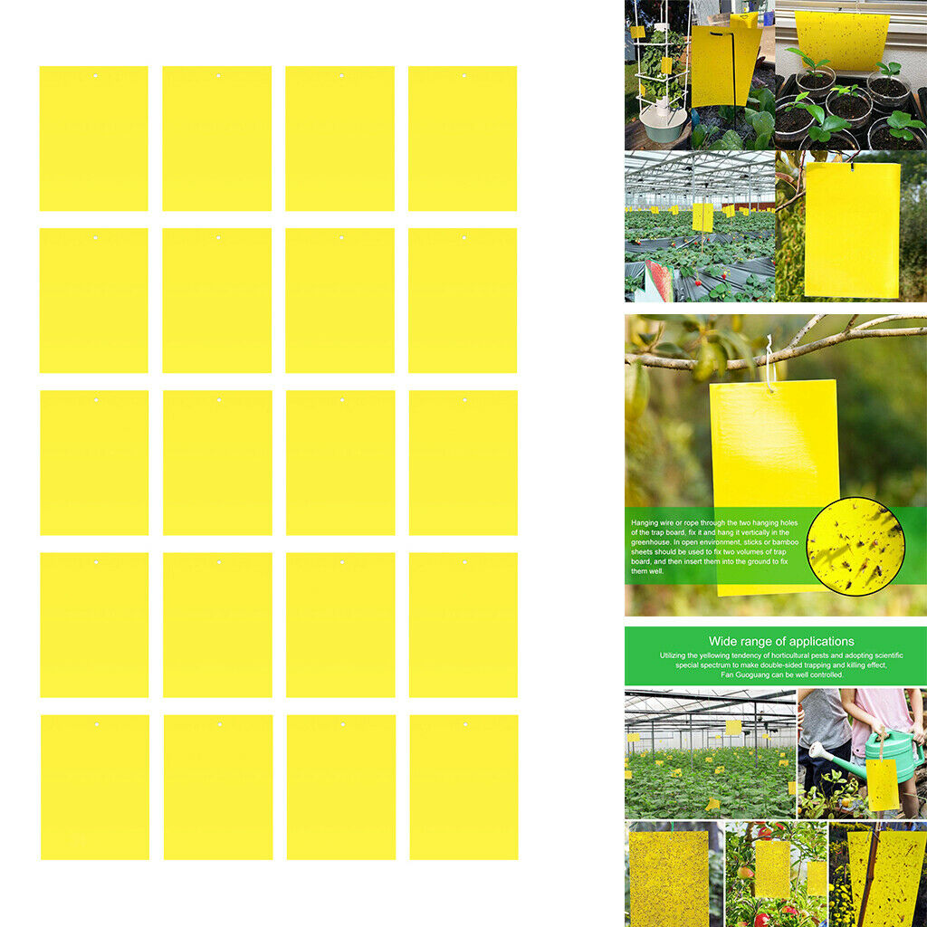 Double-Sided Sticky Traps 6x4 Inch for Indoor Outdoor Aphids 20pcs
