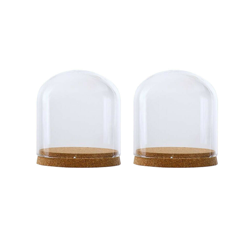 2xClear Glass Cloche Dome Cover Landscape Terrarium Container with Base S