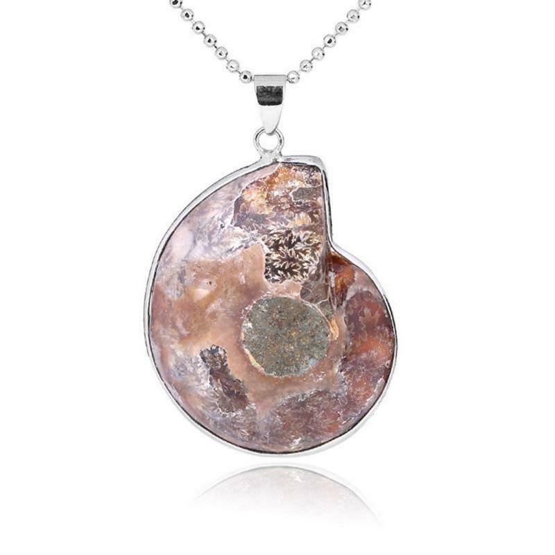 Natural Ammonite Fossils Pendant Necklace Fossils Stone Pendant Fashion Jewelry
