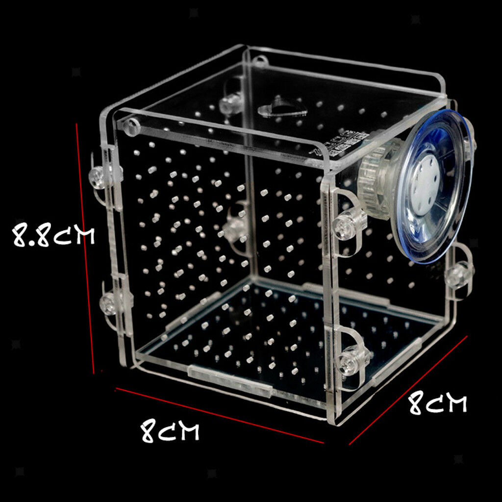 Acrylic Clear Aquarium Guppy Baby Small   Separator Fishes Breeding Box