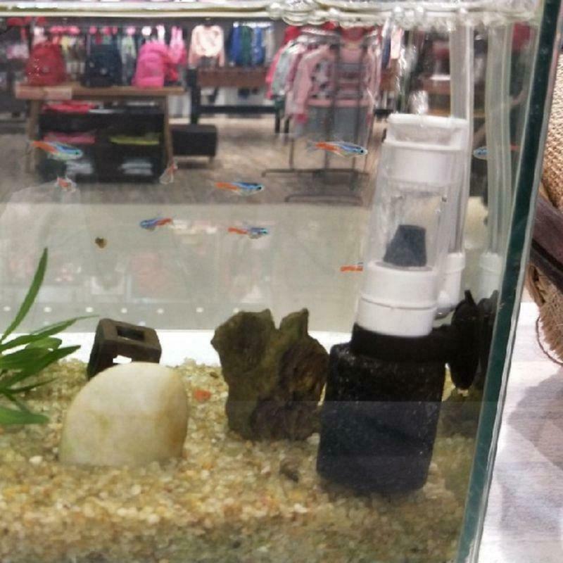 Aquarium Air Pump Mini Biochemical Sponge Filter Oxygen Pump Skimmer Fish Tank