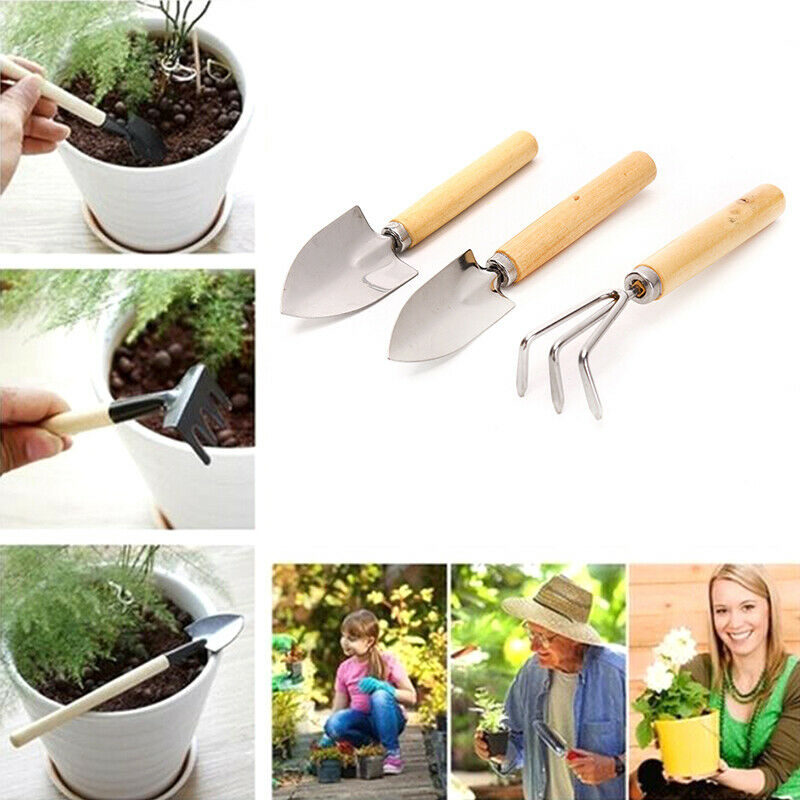 3pcs Mini Gardening Tools Succulent Shovel Spade Rake Potted Plant GadgetsA KX
