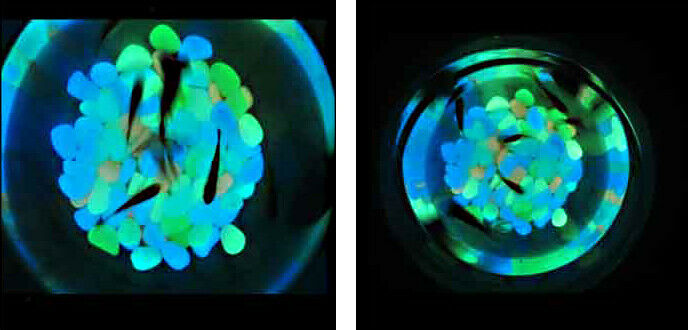 50 x Glow in The Dark Stones, Fish Tank Aquarium Decoration Gravel Rocks for