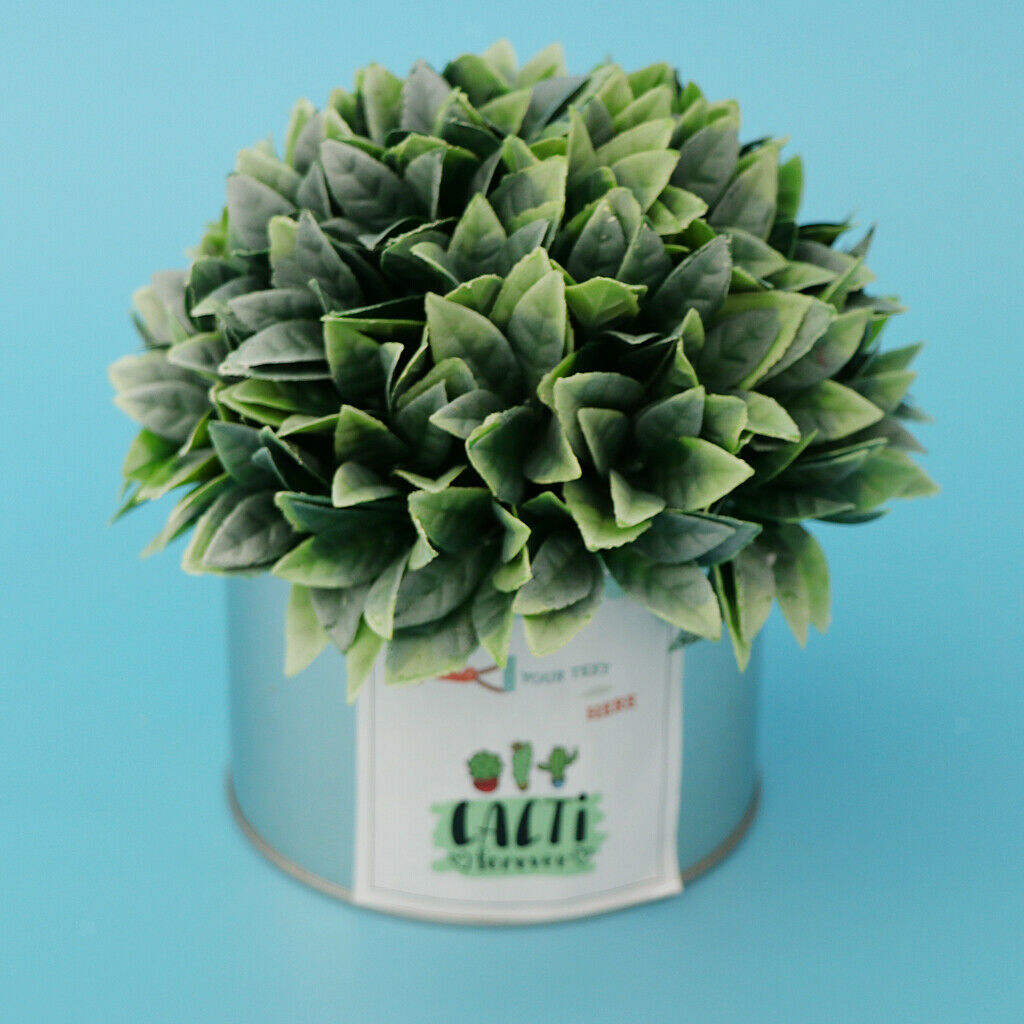 Metal Succulent Cactus Flower Pot Vase Flower Pitcher for Home Decoration S