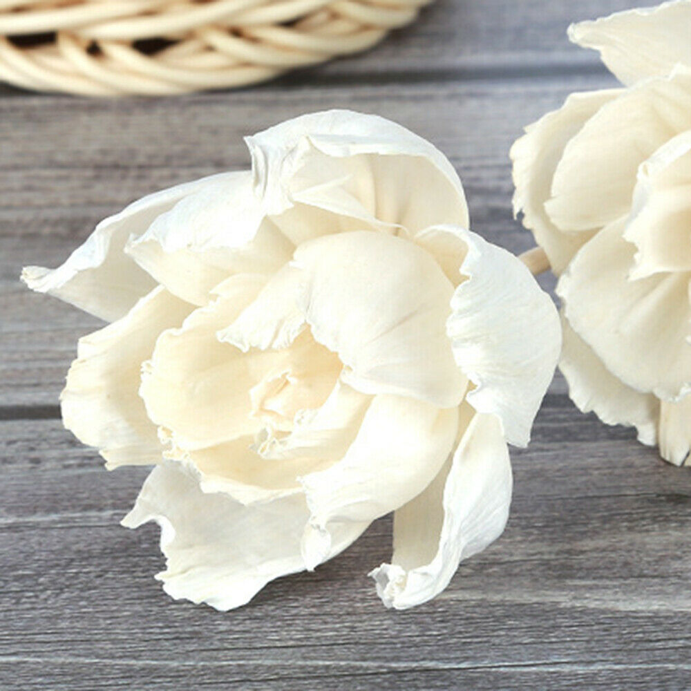 3X Artificial Flower Peony Reed Diffuser Stick Aromatherapy Fragrance Decor DIY