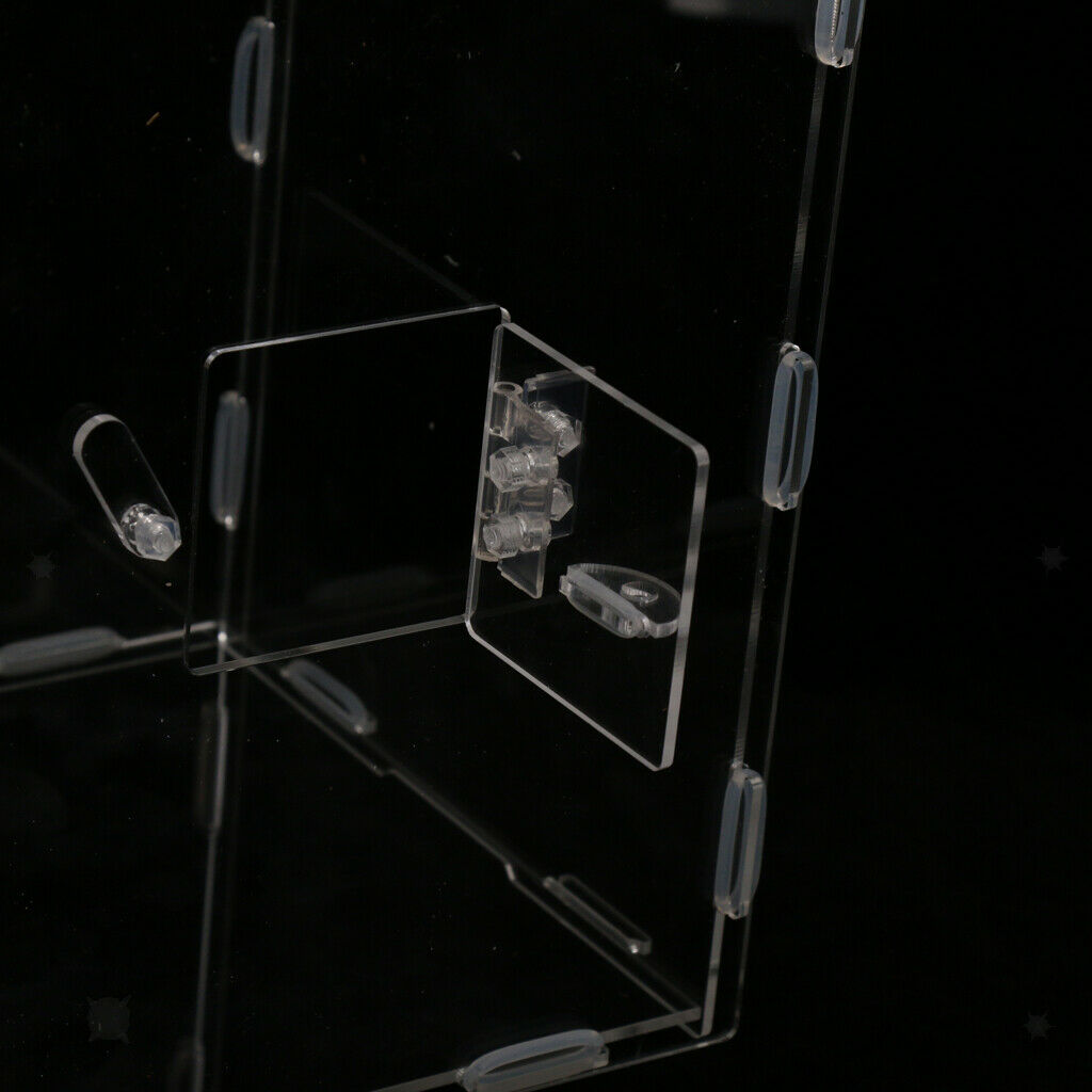 Acrylic Reptile & Amphibian Terrarium Tank For Lizard Turtle Spider