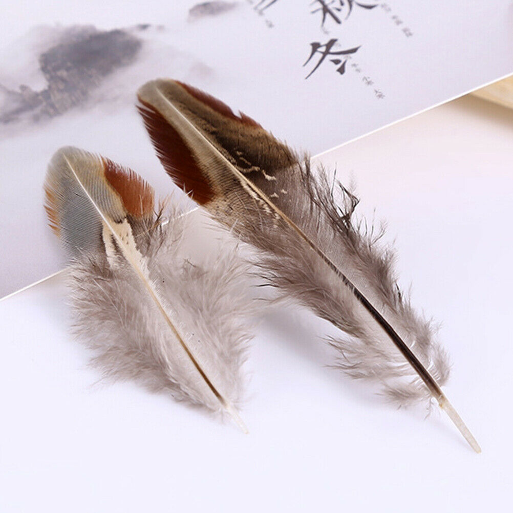 50pcs/set pheasant feathers 5-10cm chicken plumes for carnival diy craft .l8