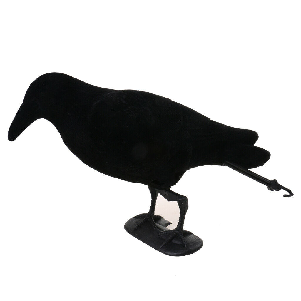 Flocked Hard Realistic Calling Crow Decoy Vermin Rook Decoying Hunting