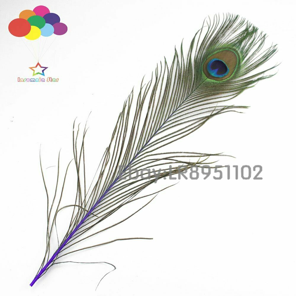 Deep purple Peacock Feathers 16-18 inches Long 40-45cm 100 pieces per pack