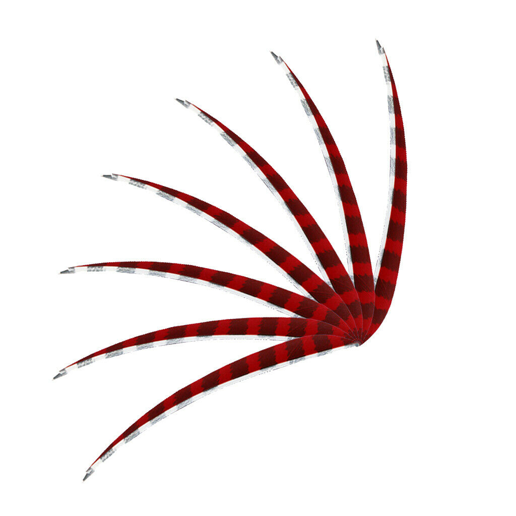 10 Pieces Drop Left-wing Feather Arrow Fletching Archery Target Hunting