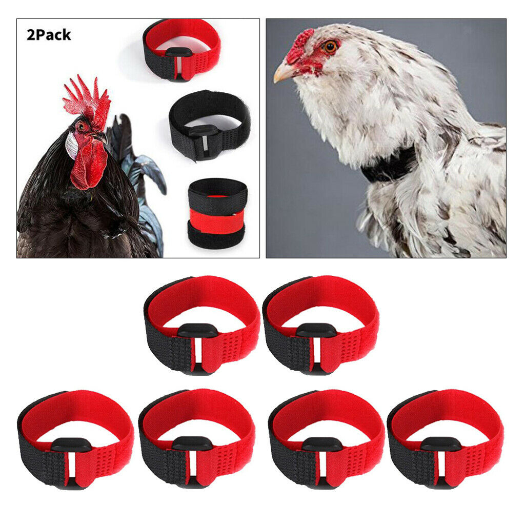 6x Rooster Collar Prevent Chicken from Disturbing Neighbors for Rooster
