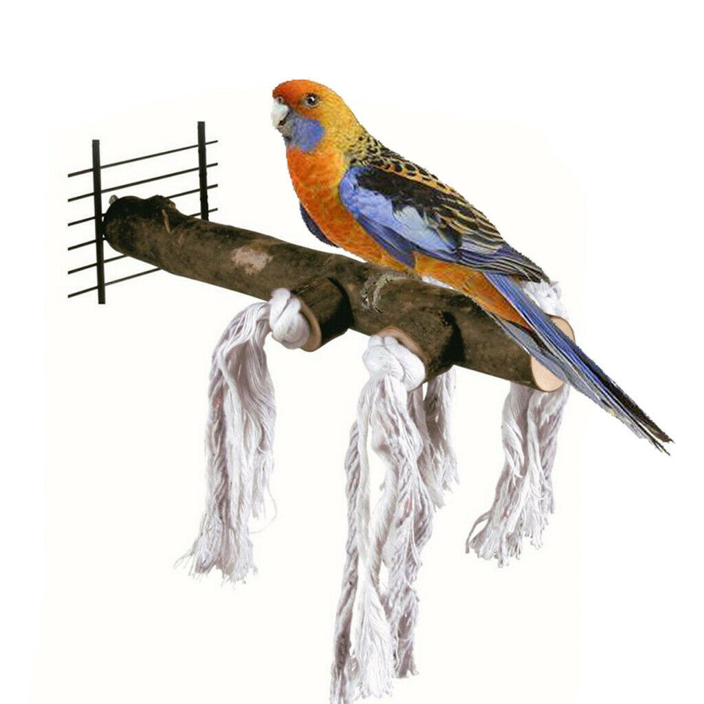 Raw Wood Bird Perch Stand for Pet Parrot Macaw African Grey Budgie