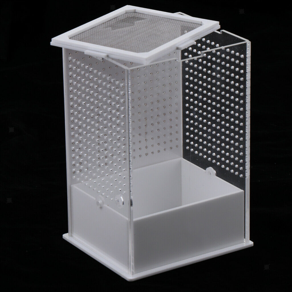 2x Reptile Feeding Box Transparent Cage Hatching Container for Lizard Frog 1
