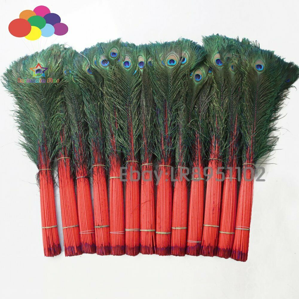 Red 100 pcs 28-32 inches/70-80 cm high quality natural peacock feather DIY Deco
