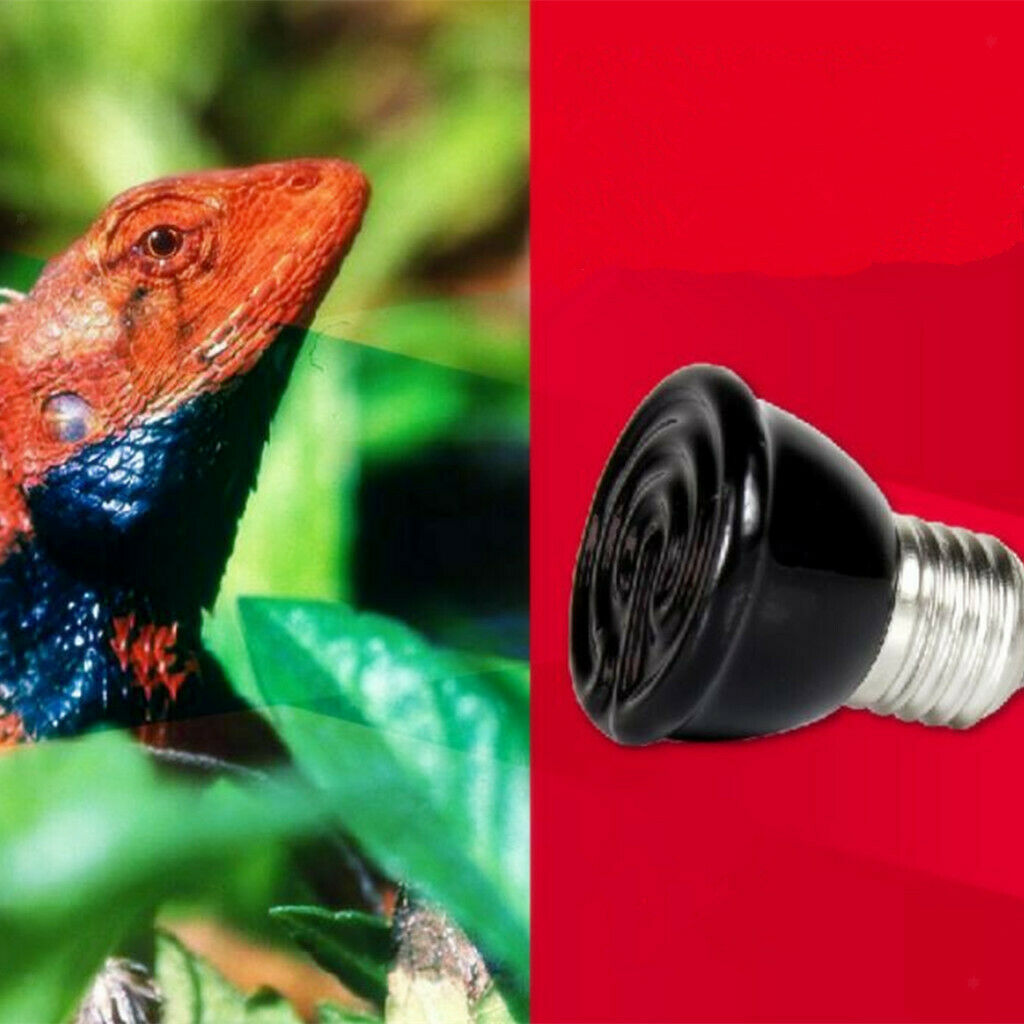 40W Ceramic Infrared Reptile Vivarium Brooder Heat Lamp Night Light Bulb E27