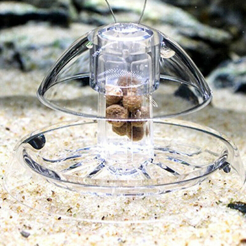 Useful Snail Trap Catcher Aquarium Fish Plant Tank Plastic Clear Pest Cat.l8