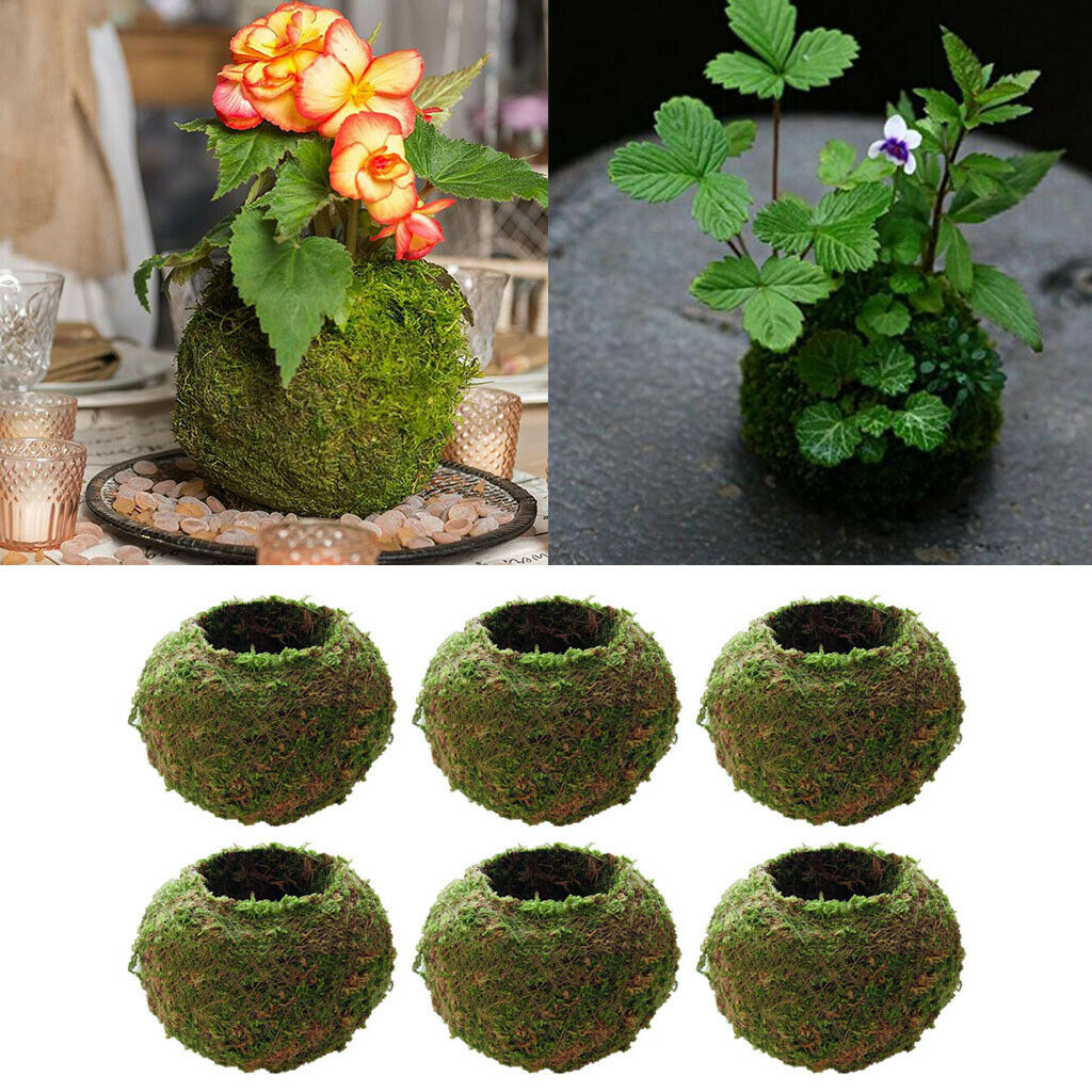 6 Pieces Creative Moss Ball Flower Pot Planter Bonsai Plant Holder Home 12cm