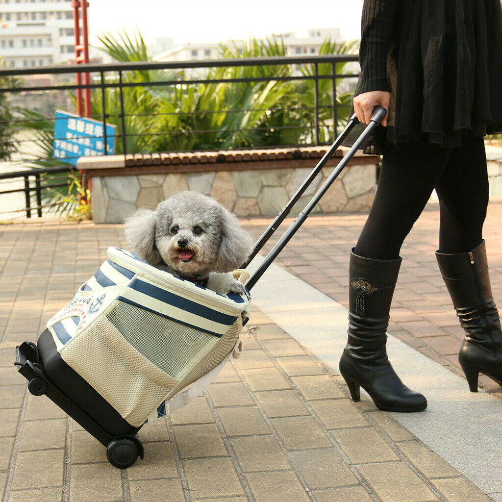 Pet Carrier Foldable Luggage Cart for Small Animals Pet Cat Dog