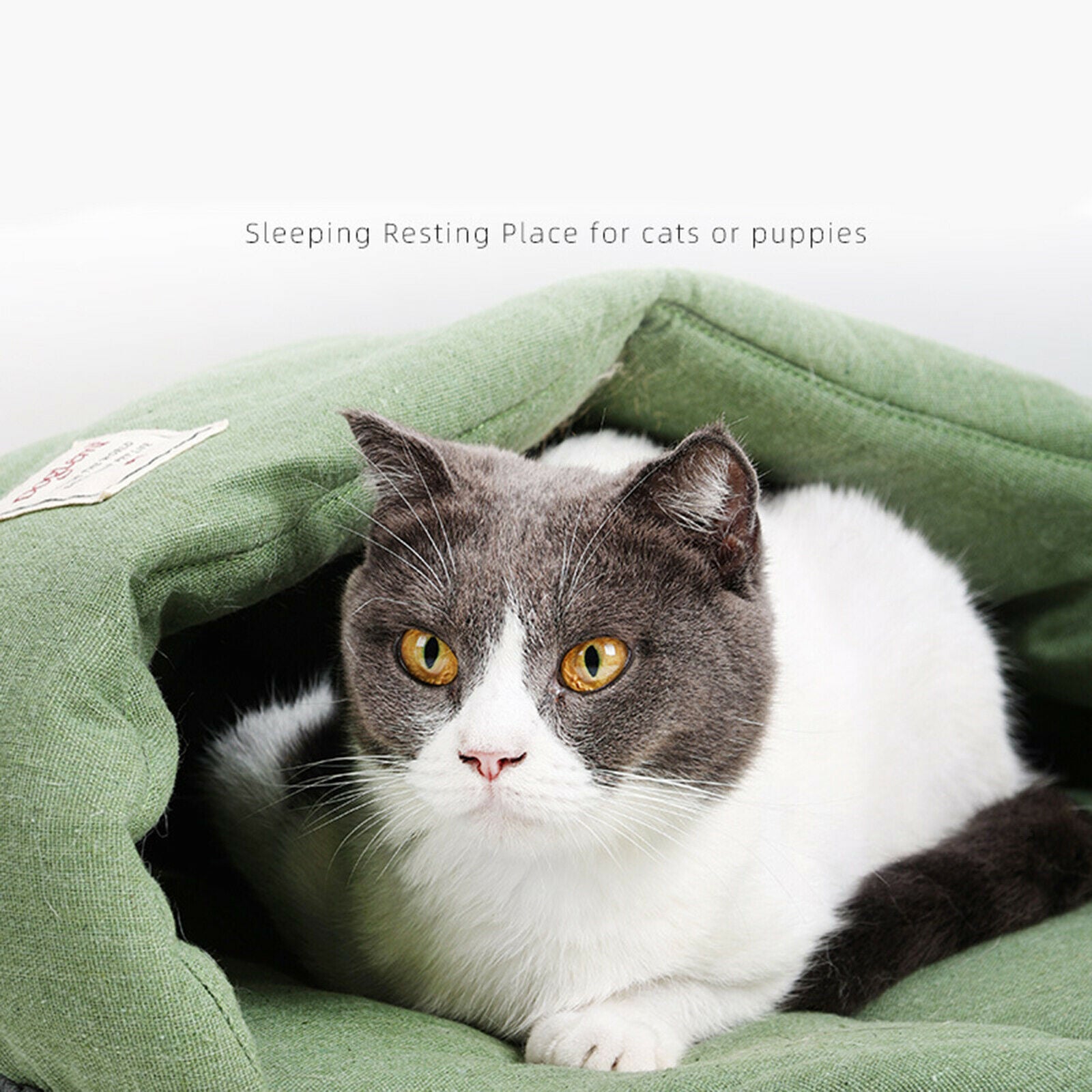 Leaf Soft Washable Dog Pet Bed Warm Basket Cushion Blanket Cat House Mat