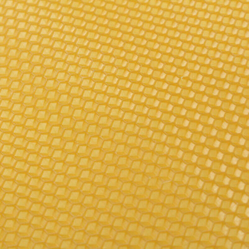 Honeycomb Bee Wax Foundation Honey Hive Equipment Bee Honey Sheets Tool 10Pcs