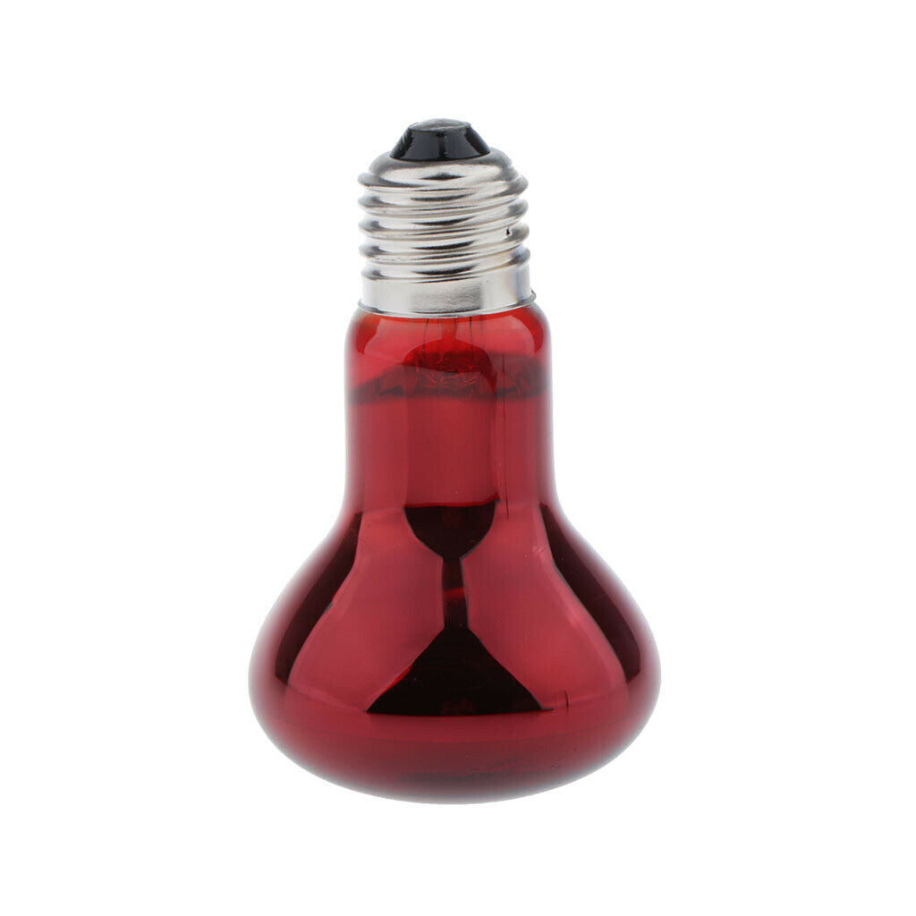 Reptile UVA Lamp Terrarium Lizard Tortoise Pet Supply Screw-In 220-240V 25W