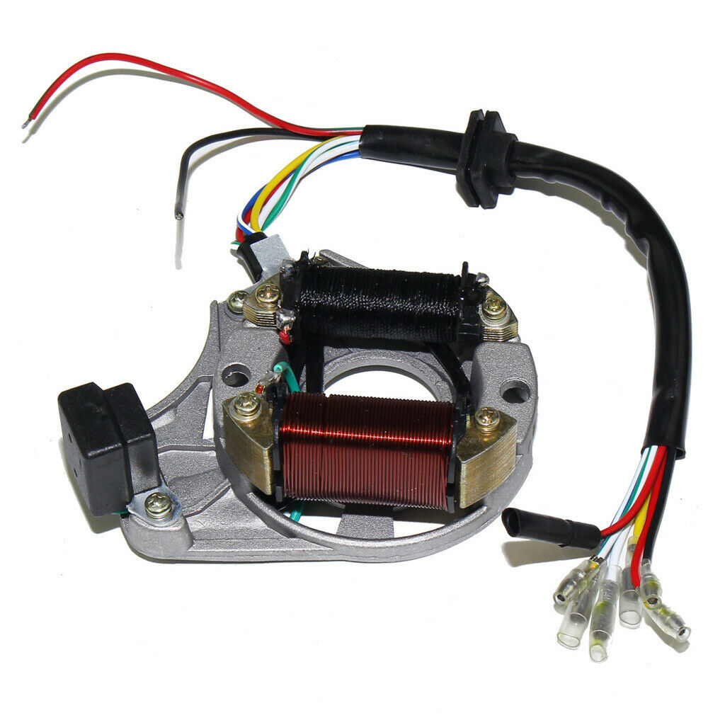 Motorcycle ATV Ignition Stator Coil Magneto 2 Pole for JiaLing JH70