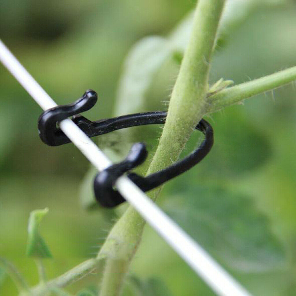 200pcs Vines Fastener Tomato Vine Clips for Planting Plants Tomato Cucumber