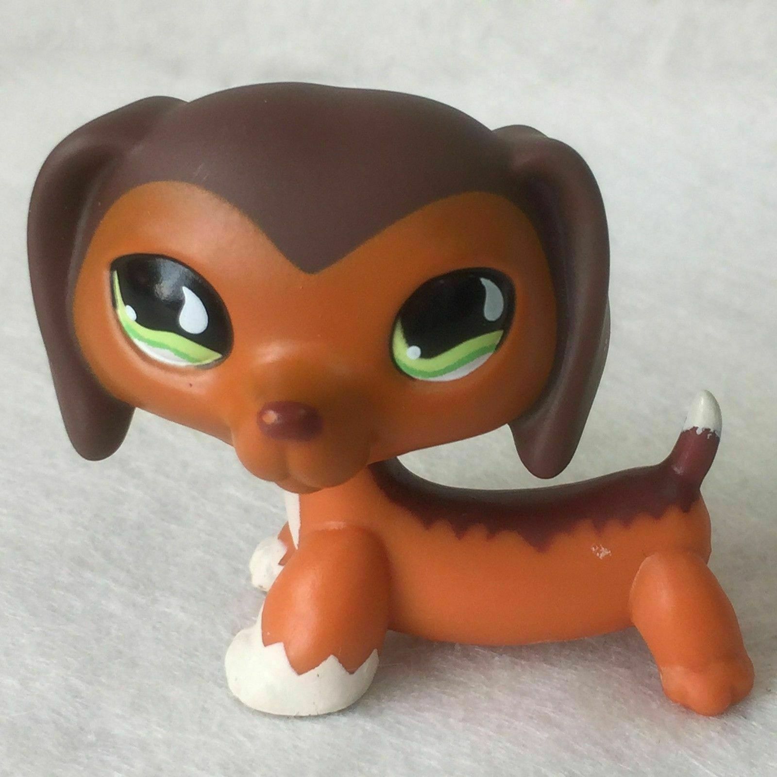Littlest Pet Shop Animaux Collection Lps Jouet #675 Savannah Savvy Teckel Dog S