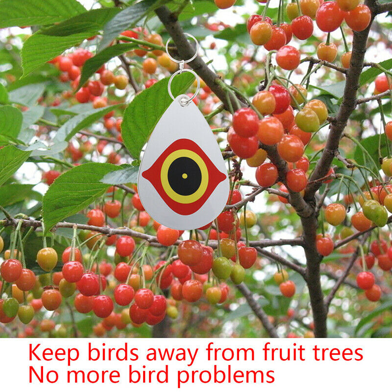 5Pcs Bird Repellent Diverter Discs Scarer Eye Scare Birds Away Pest DeterreDD