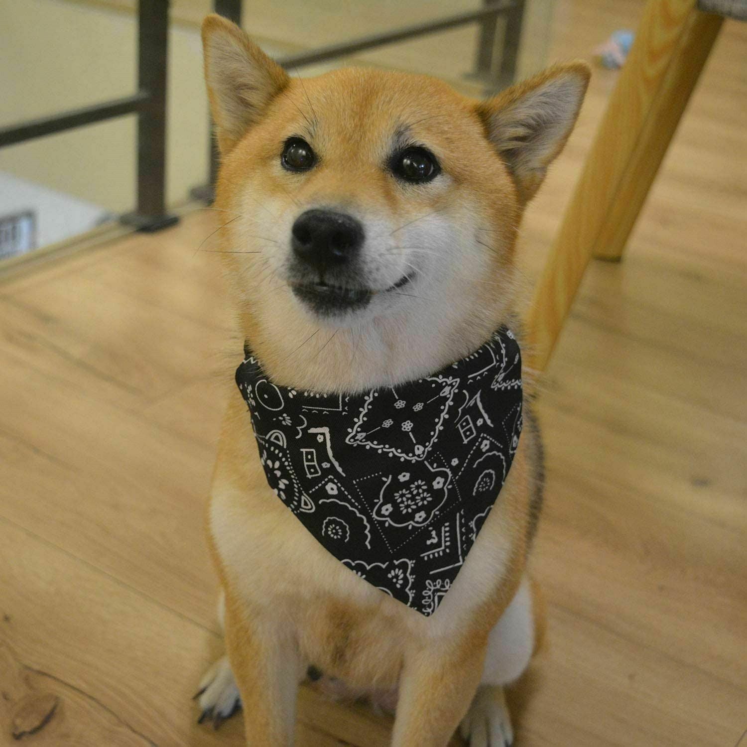 Neck Decor Triangular Bandage Puppy Kerchief Dog Bandanas Pet Scarf Cat Bibs