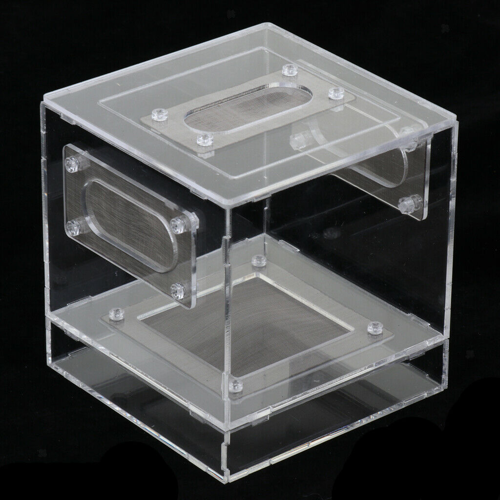 Small Reptile Lizard Spider Scorpion Insect Vivarium Feeding Rearing Box
