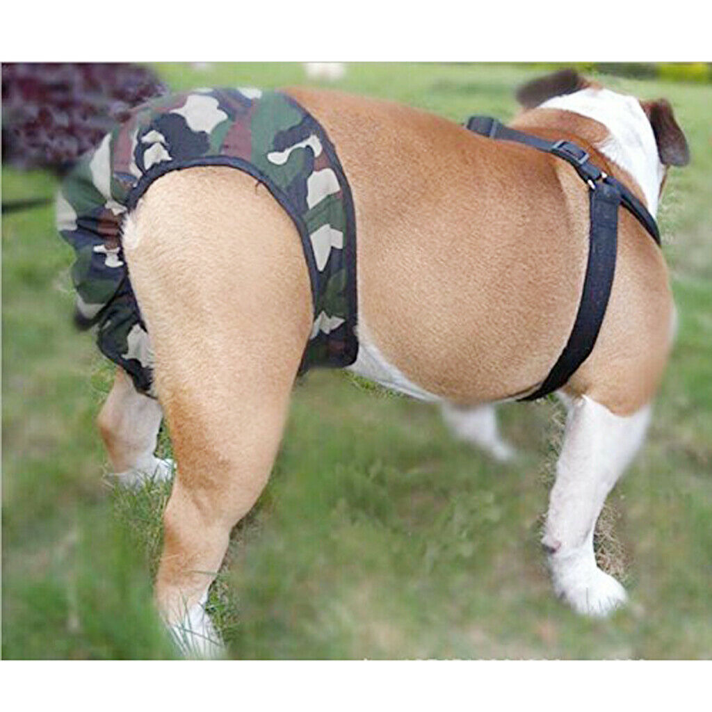 4 Pieces Pet Dog Safe Physical Pant Female Dog Sanitary Nappy Diaper, Black and