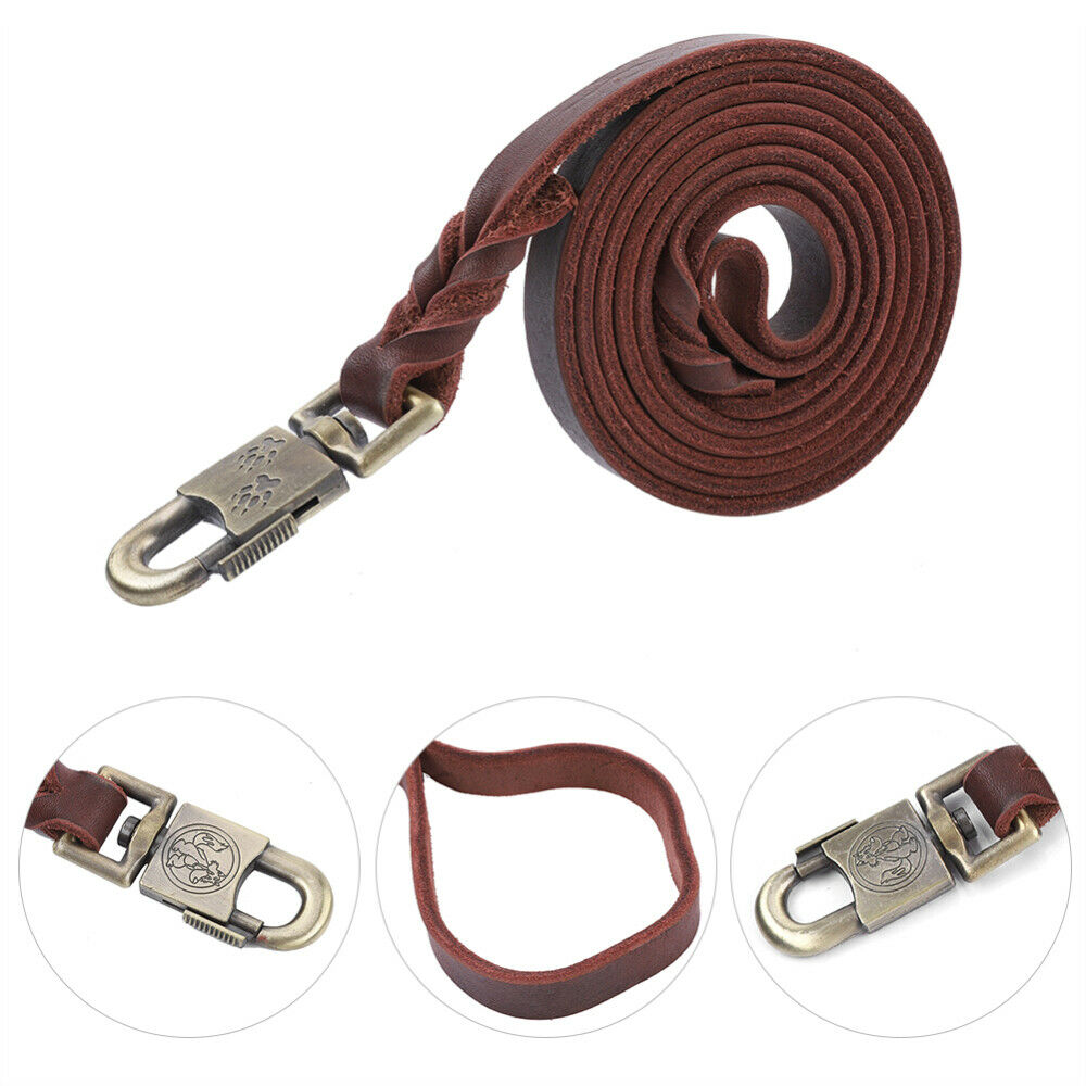 Durable Dog Training Leash Stylish Dog Strap for Medium Dogs for Large Dogs