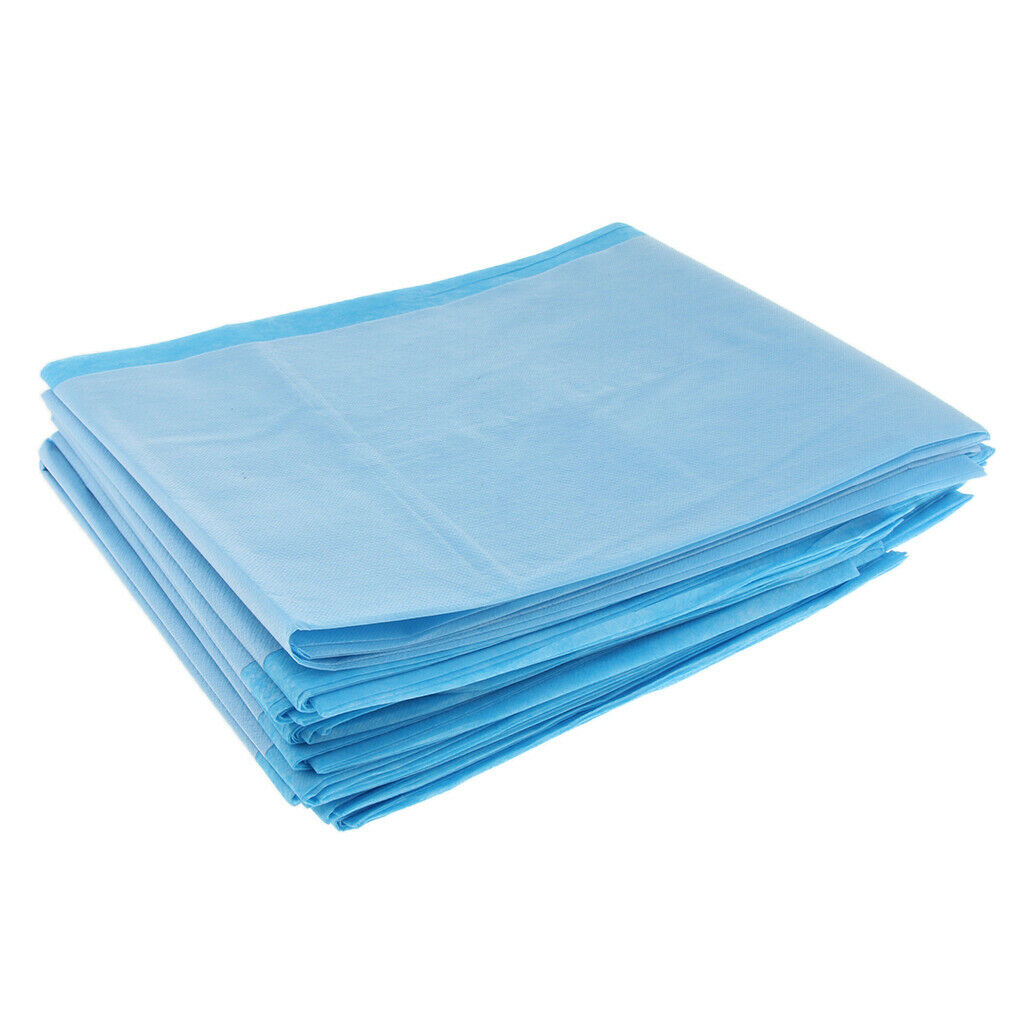 10 Pieces Massage Bed Tattoo Table  Nursing Bed Sheets Mats Pads M