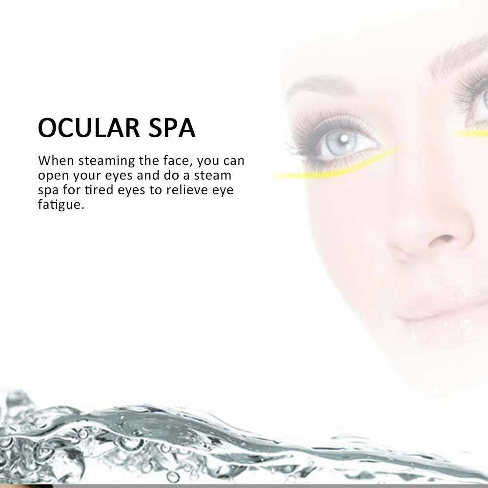 Face Facial Steamer Nano Steam Ionic Humidifier Kit for Home Face Sauna UK
