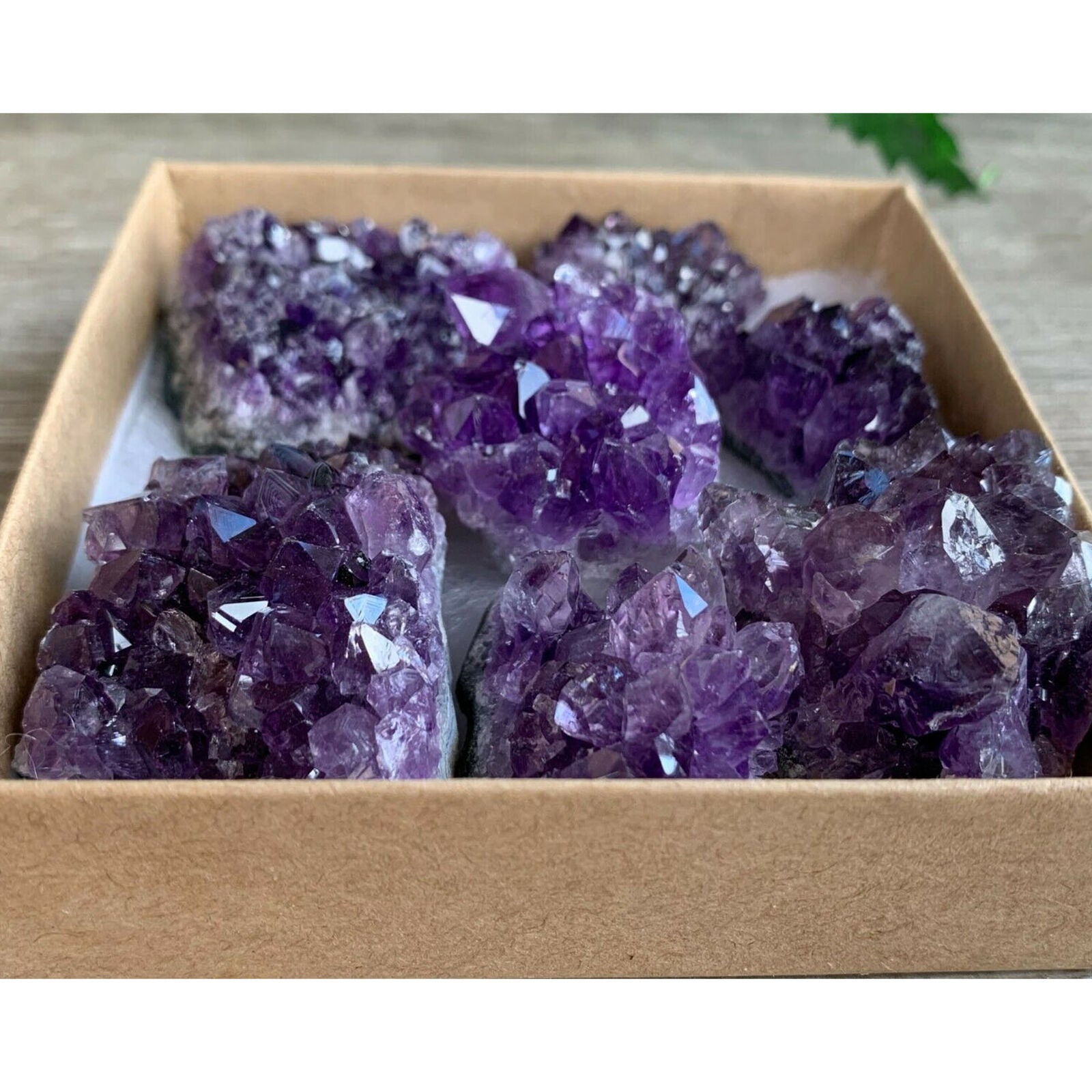 Raw Amethyst Cluster Druzy Collection Box, Deep Purple Amethyst