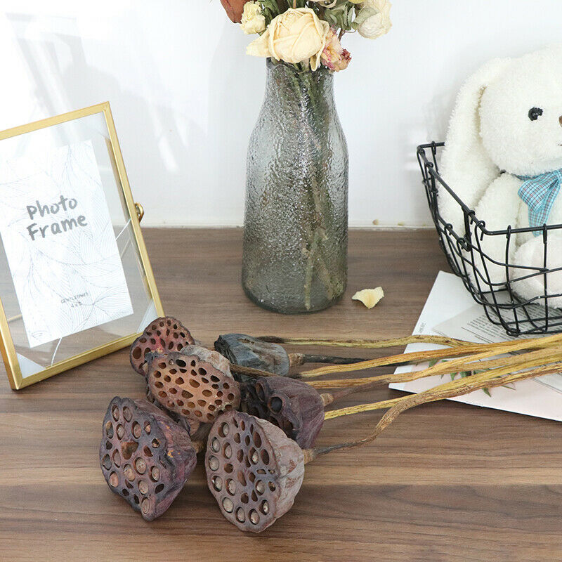 1Pc Lotus Natural Dried Flowers Farmhouse Bouquet Plant Branch Fall Decor.l8