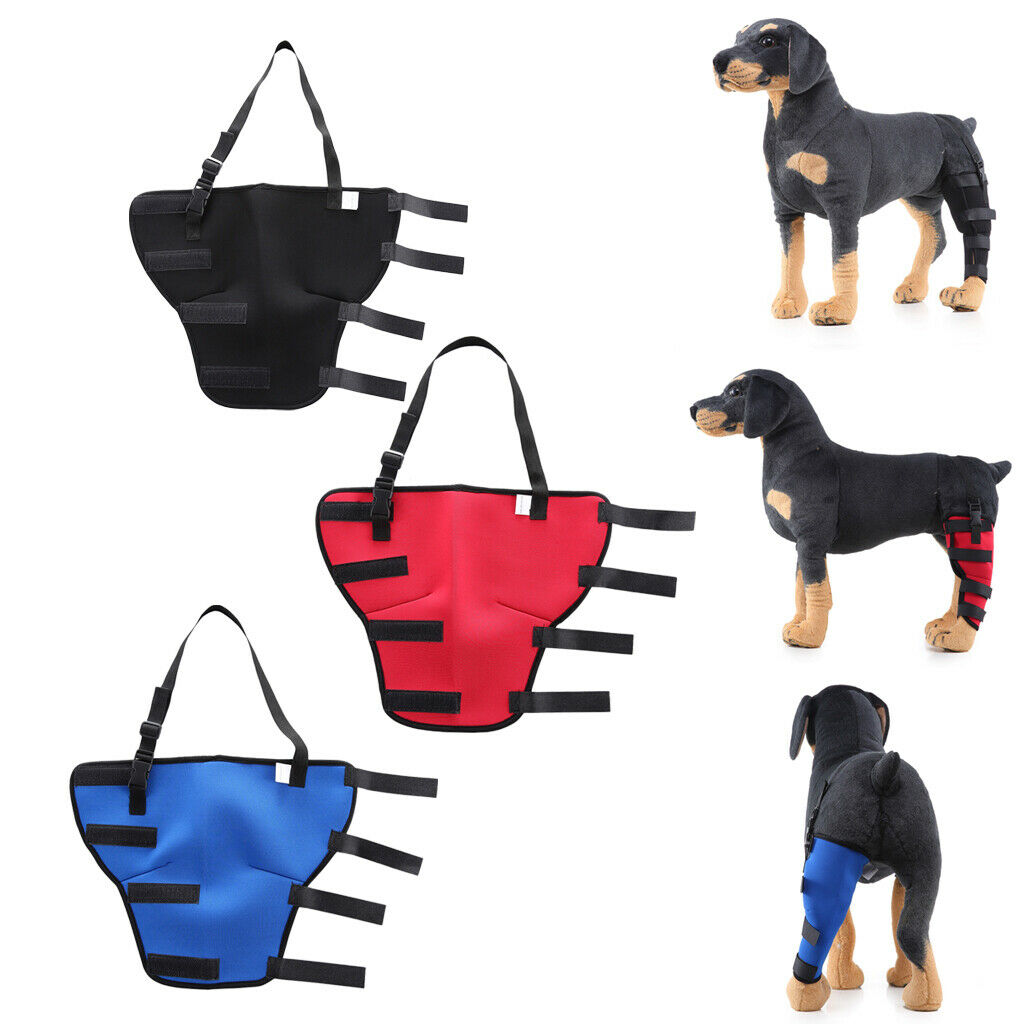 4 Pack Supportive Dog Rear Leg Hock Joint Wrap Protects Dog Wound Dog Rear Leg